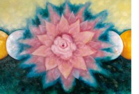 /album/andelske-karty/lotus-rose-s-jpg/